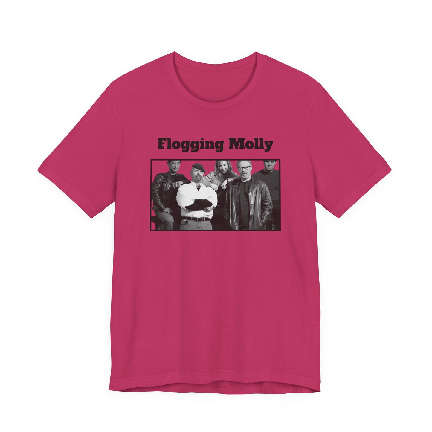 Mythbusters Flogging Molly Meme T-Shirt