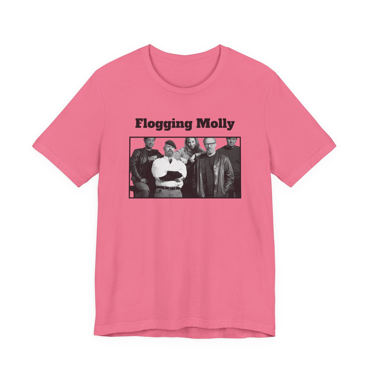 Mythbusters Flogging Molly Meme T-Shirt