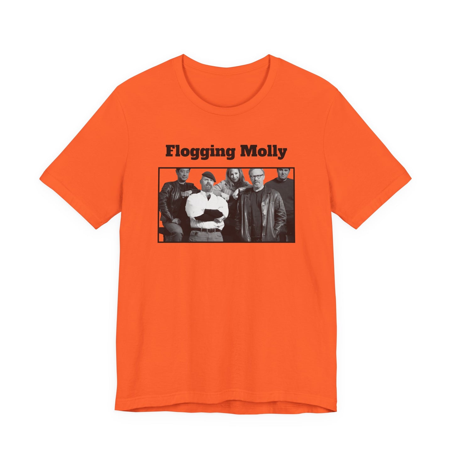 Mythbusters Flogging Molly Meme T-Shirt