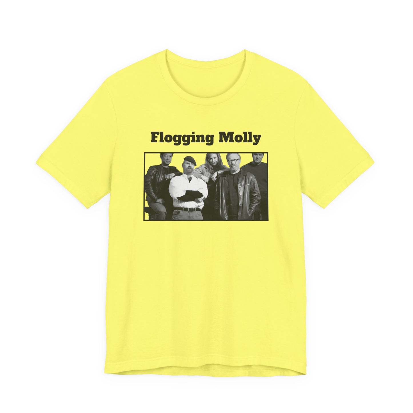 Mythbusters Flogging Molly Meme T-Shirt
