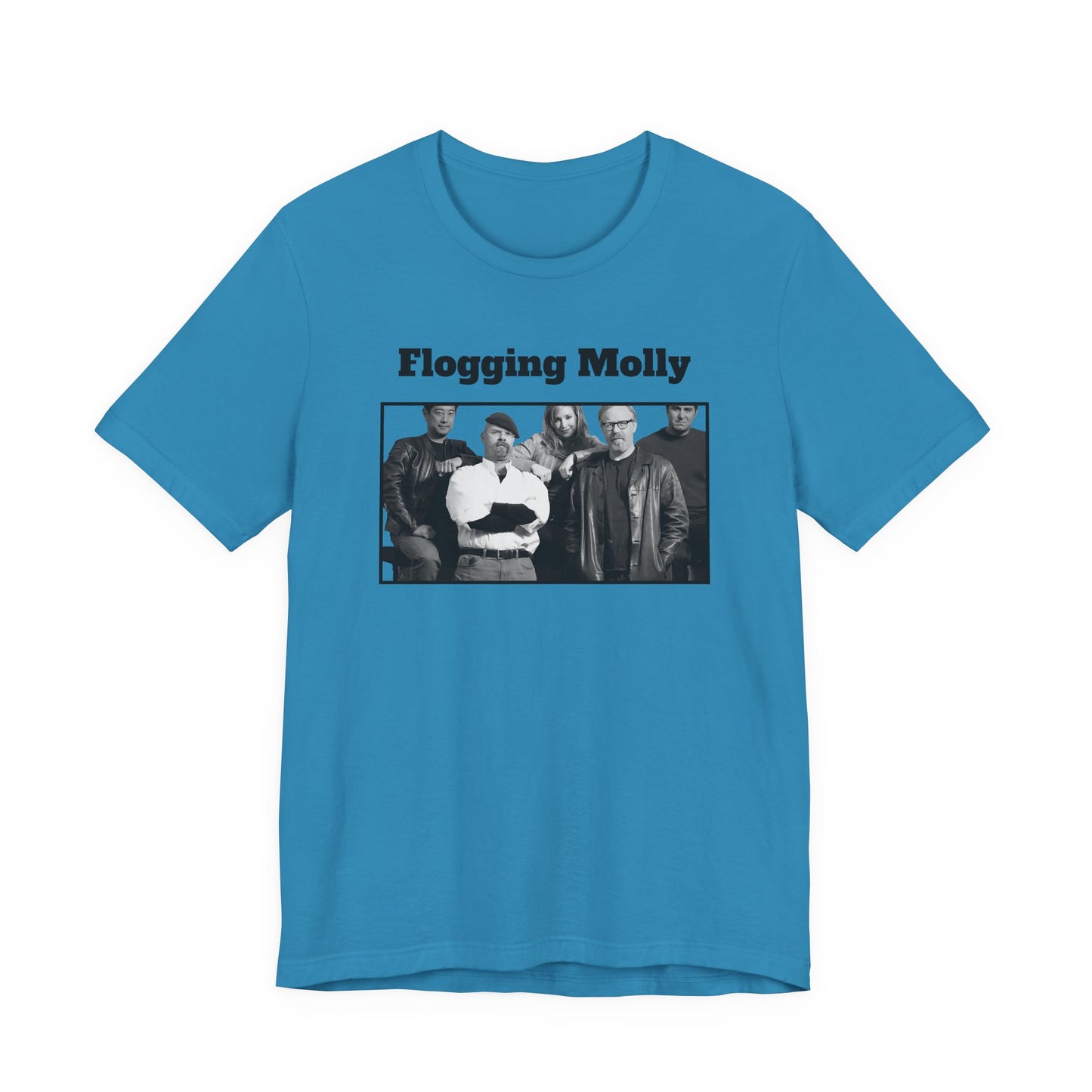 Mythbusters Flogging Molly Meme T-Shirt
