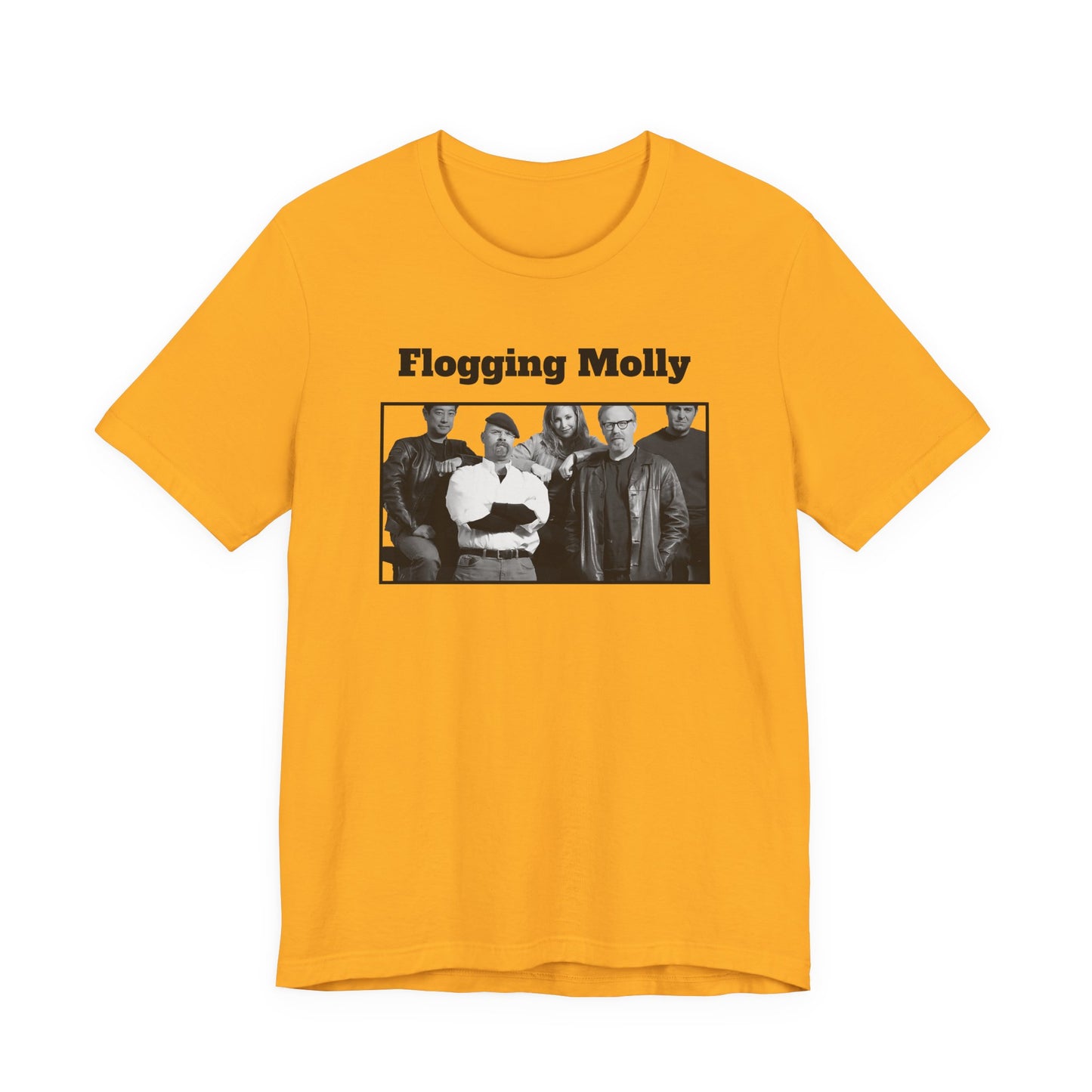 Mythbusters Flogging Molly Meme T-Shirt